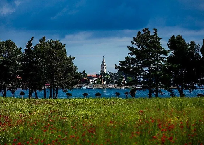 Jadranka Sain Apartment Novigrad (Istria)