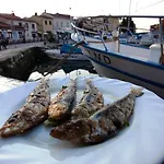 Jadranka Sain Apartamento Novigrad Istria
