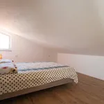 Jadranka Sain Apartamento Novigrad Istria