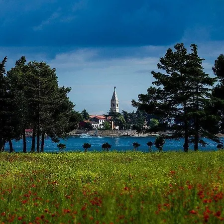 Jadranka Sain アパート Novigrad Istria